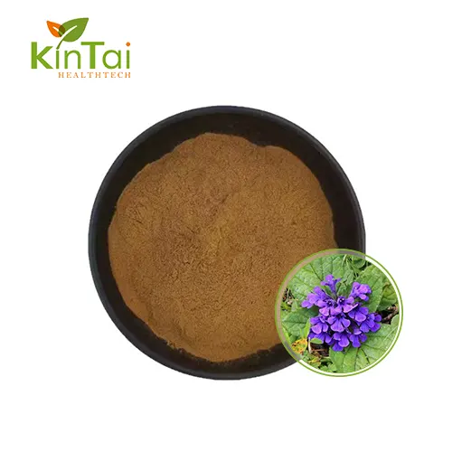 ajuga turkestanica extract powder